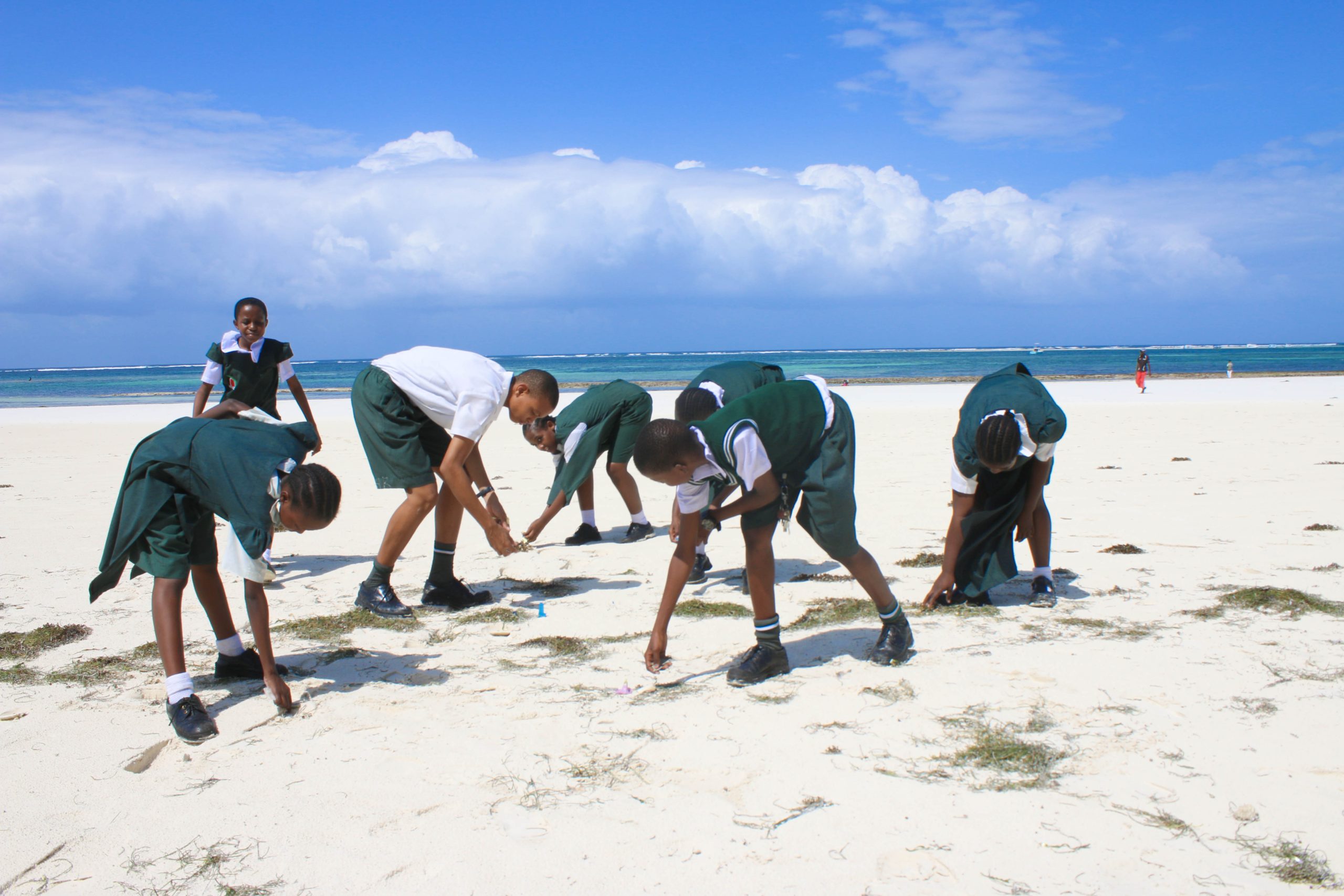 TonyWild-Foundation-Diani-Sea-Turtle-Festival